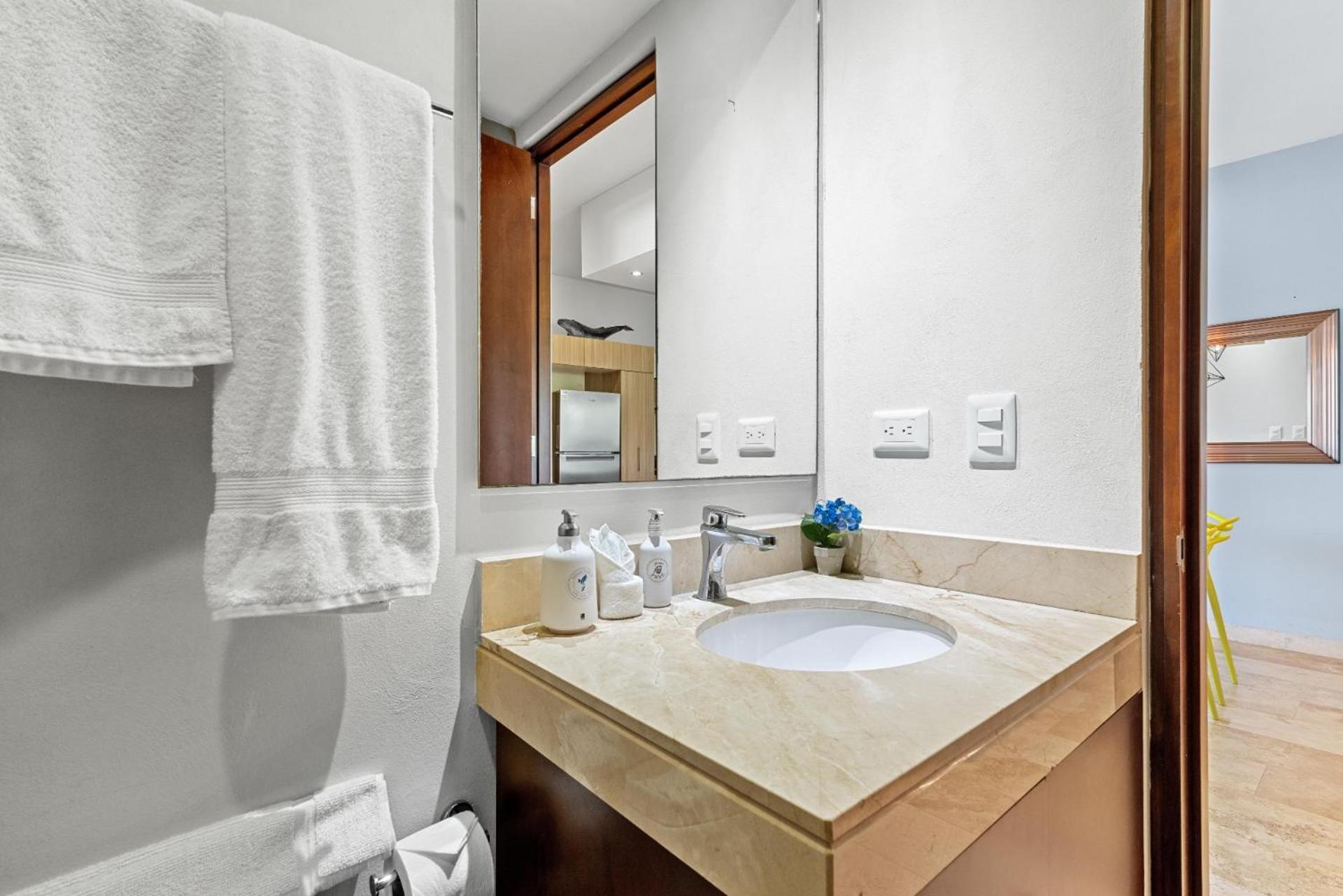 Luxurious Penthouse With Jungle View & Private Pool Διαμέρισμα Τουλούμ Εξωτερικό φωτογραφία