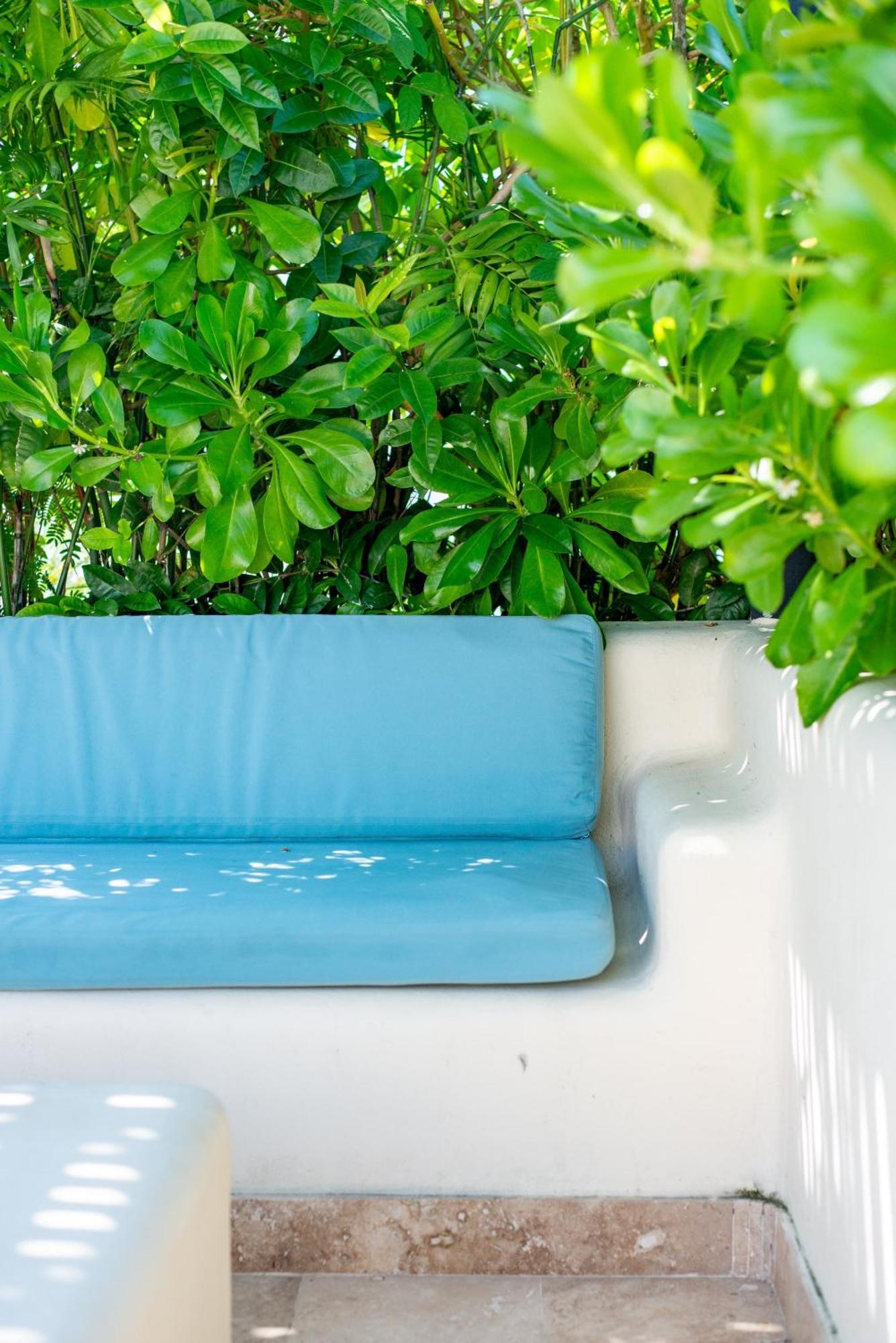 Luxurious Penthouse With Jungle View & Private Pool Διαμέρισμα Τουλούμ Εξωτερικό φωτογραφία